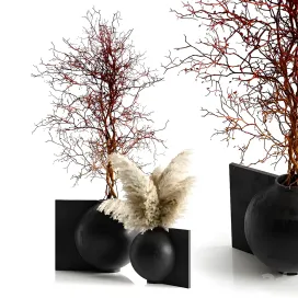 Pampas branching tree